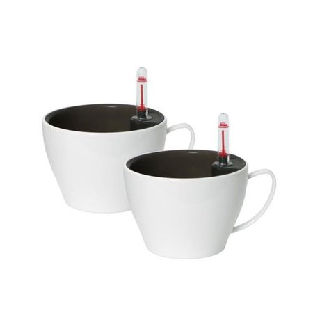 ALGREEN Algreen 15423 5.5 in. Modena Cappucino Cup; Gloss White - Pack of 2 15423